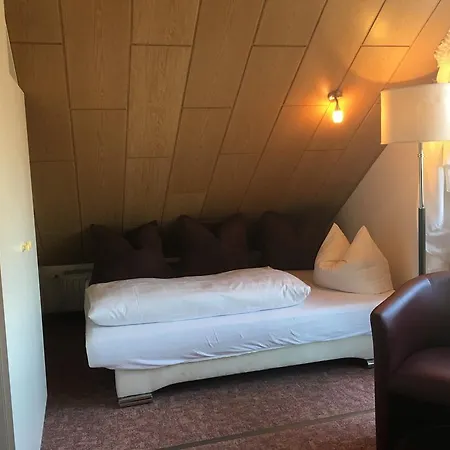 Hotel Hotel&restaurant Park Cafe Isa